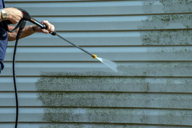 Best Gutter Cleaning  in Lakewood, IL